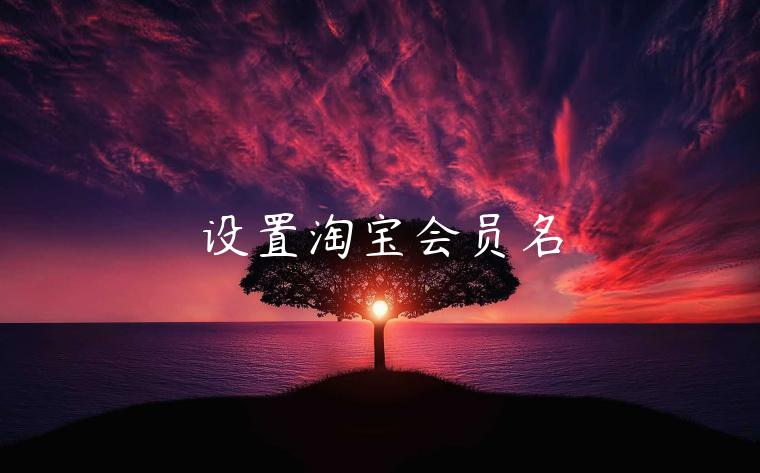 設(shè)置淘寶會員名